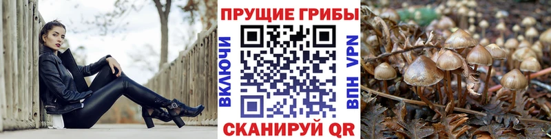 Галлюциногенные грибы мухоморы  Удачный 